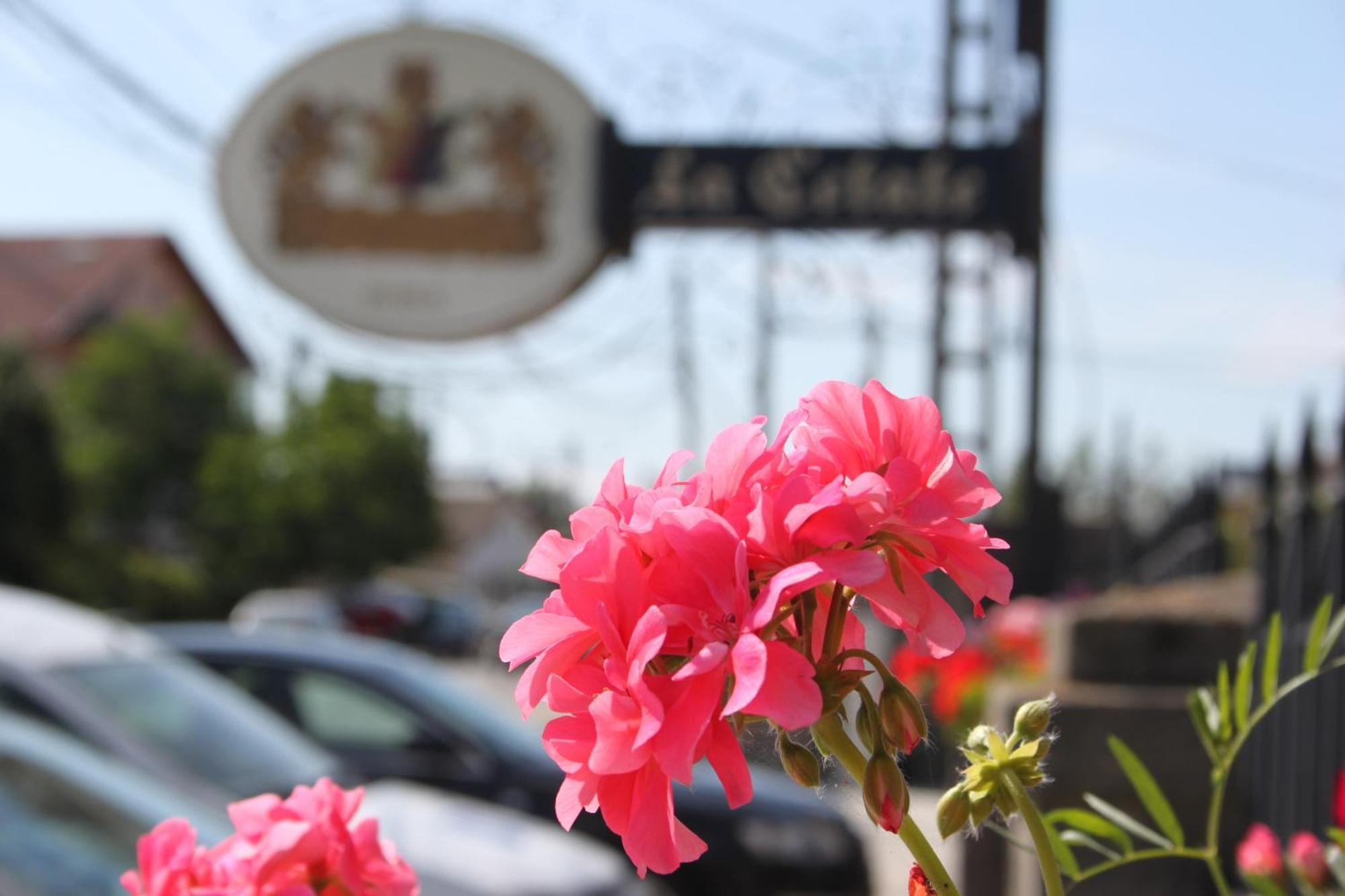 Hotel Lacetate Pitesti Bagian luar foto